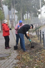 Nasadźmy Drzewa w Krasnymstawie 25.10-4.11.2024 r. 