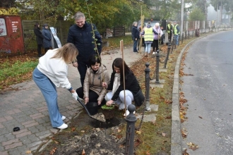 Nasadźmy Drzewa w Krasnymstawie 25.10-4.11.2024 r. 