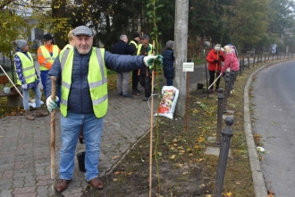 Nasadźmy Drzewa w Krasnymstawie 25.10-4.11.2024 r. 