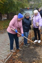 Nasadźmy Drzewa w Krasnymstawie 25.10-4.11.2024 r. 