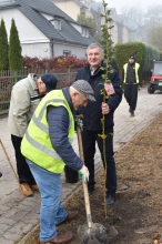 Nasadźmy Drzewa w Krasnymstawie 25.10-4.11.2024 r. 