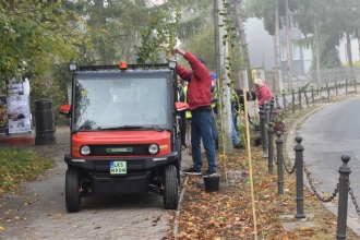 Nasadźmy Drzewa w Krasnymstawie 25.10-4.11.2024 r. 