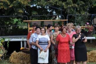 Festyn Żniwny w Wincentowie - 15.8.2014 r.