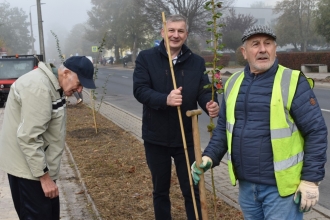 Nasadźmy Drzewa w Krasnymstawie 25.10-4.11.2024 r. 