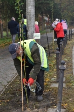 Nasadźmy Drzewa w Krasnymstawie 25.10-4.11.2024 r. 