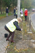 Nasadźmy Drzewa w Krasnymstawie 25.10-4.11.2024 r. 