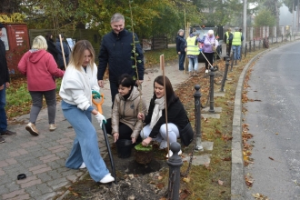 Nasadźmy Drzewa w Krasnymstawie 25.10-4.11.2024 r. 