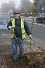 Nasadźmy Drzewa w Krasnymstawie 25.10-4.11.2024 r. 