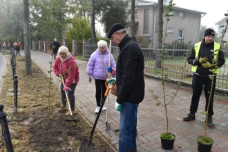 Nasadźmy Drzewa w Krasnymstawie 25.10-4.11.2024 r. 