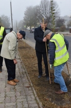 Nasadźmy Drzewa w Krasnymstawie 25.10-4.11.2024 r. 