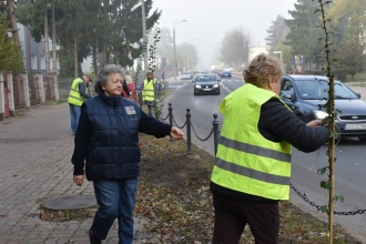 Nasadźmy Drzewa w Krasnymstawie 25.10-4.11.2024 r. 