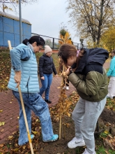 Nasadźmy Drzewa w Krasnymstawie 25.10-4.11.2024 r. 