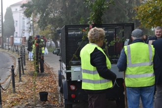 Nasadźmy Drzewa w Krasnymstawie 25.10-4.11.2024 r. 