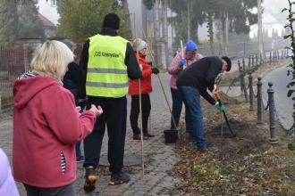 Nasadźmy Drzewa w Krasnymstawie 25.10-4.11.2024 r. 