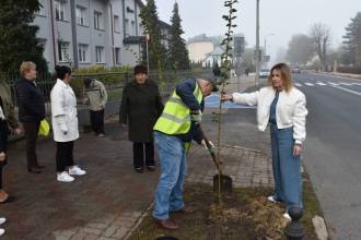 Nasadźmy Drzewa w Krasnymstawie 25.10-4.11.2024 r. 