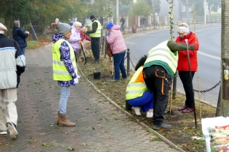 Nasadźmy Drzewa w Krasnymstawie 25.10-4.11.2024 r. 