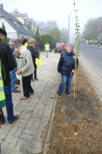 Nasadźmy Drzewa w Krasnymstawie 25.10-4.11.2024 r. 