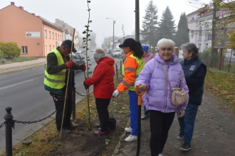 Nasadźmy Drzewa w Krasnymstawie 25.10-4.11.2024 r. 