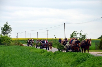Z rodziną i plecakiem na spotkanie z tradycją - Zielone Świątki w Borowicy - 24.05.2015 r