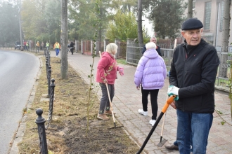 Nasadźmy Drzewa w Krasnymstawie 25.10-4.11.2024 r. 