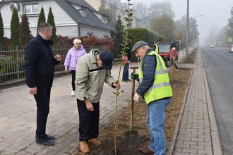 Nasadźmy Drzewa w Krasnymstawie 25.10-4.11.2024 r. 